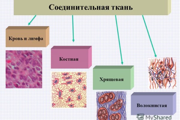 Кракен даркнет маркет ссылка на сайт тор